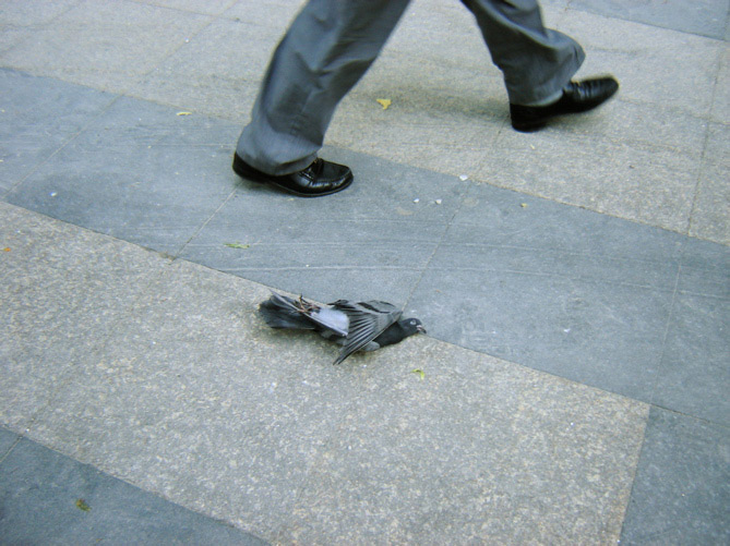 DADABASE 2008